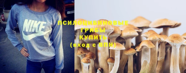 spice Володарск