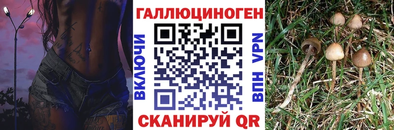 Псилоцибиновые грибы MAGIC MUSHROOMS  Купить где  Валуйки 